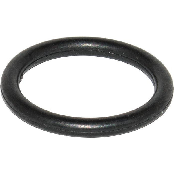 O-RING FOR SG LVLP SPRAY GUN - Power Tool Traders